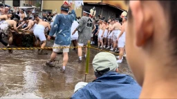 どろいんきょ　見物