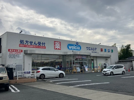 ウェルシア大谷本郷店
