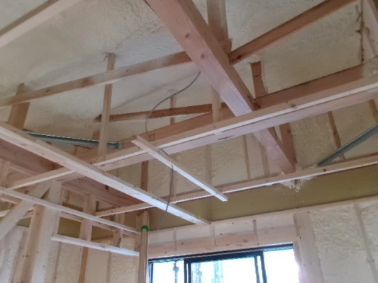 天井・屋根までびっしりと吹付断熱施工済