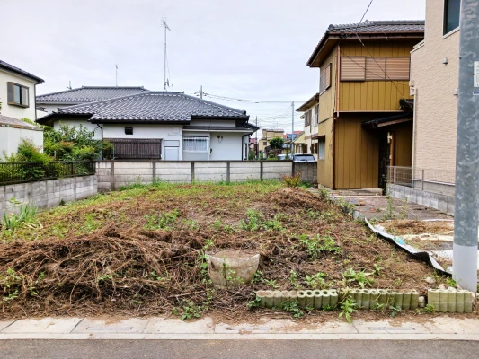 ※北側道路から撮影